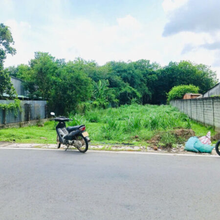 Bán đất đường Nguyễn Thị Nê – 790m2 – 14×56 – 264m2 thổ cư – xã Phú Hòa Đông – Củ Chi
