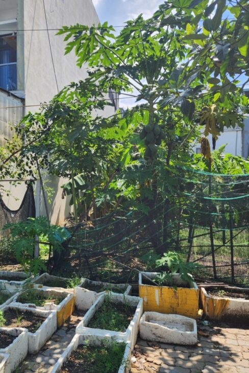 LÔ ĐẤT ĐẸP, 108M2 VUÔNG VẮN, ĐƯỜNG BÀU MẠC – GẦN BIỂN, TT LIÊN CHIỂU – CHỈ HƠN 3 TỶ