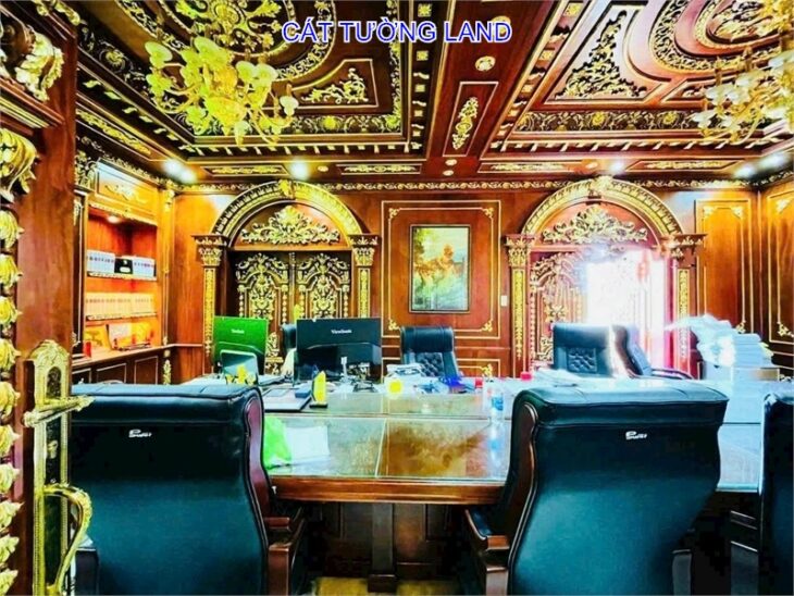 Biệt Thự DƯƠNG QUÃNG HÀM – Giáp Bình Thạnh, Đẳng Cấp Nội Thất Dát Vàng. Chủ Gấp bán, giảm 2/3 Giá