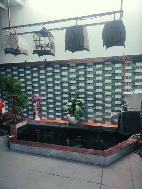 Nhà khủng 169 M2- Chủ thiện chí bán gấp CHỈ 3.1T – Ngã 3 Lã Xuân Oai – Võ Văn Hát