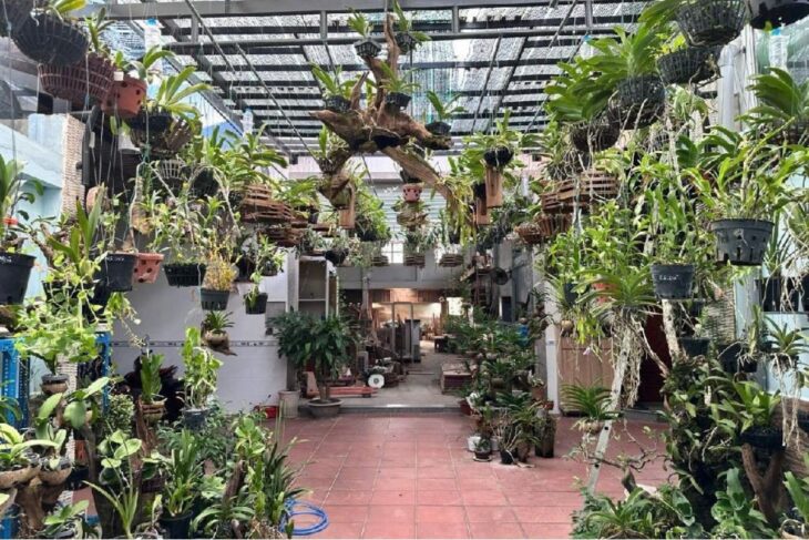 Xưởng+Nhà Mặt Tiền Đường Tân Xuân 2, Giá Tốt, Full Thổ Tân Xuân Hóc Môn