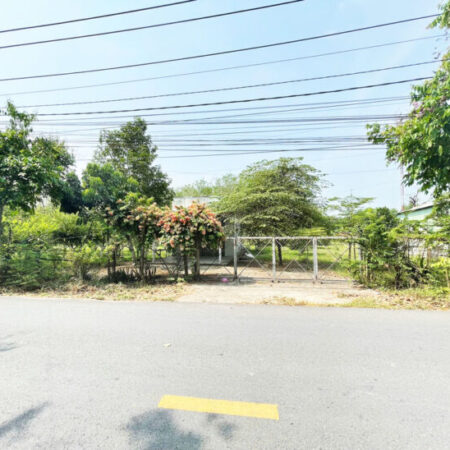 Bán đất đường Đỗ Đăng Tuyển – 3362m2 – 64×63 – 500m2 thổ cư – xã Nhuận Đức – Củ Chi