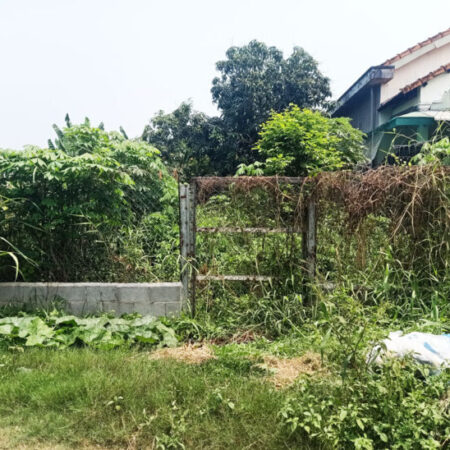 Bán đất 1/ Nguyễn Thị Hương – 319m2 – 7.6×42 – 150m2 thổ cư – xã Trung Lập Hạ – Củ Chi