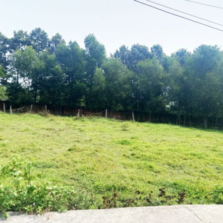 Đất 1/ đường Nguyễn Thị Nê – 120m2 – 4×28 – 104m2 thổ cư – xã Phú Hòa Đông – Củ Chi