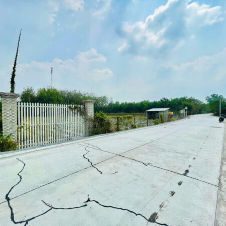 Bán đất đường Bùi Thị Mộng – 3114m2 – 50×73 – 300m2 thổ cư – xã Phú Mỹ Hưng – Củ Chi