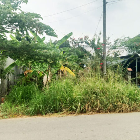 Bán đất đường Bến Súc – 346m2 – 6×58 – 168m2 thổ cư – xã An Phú – Củ Chi