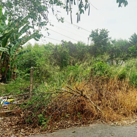 Đất 1/ đường Bến Súc – 210m2 – 10×21 – xã An Phú – Củ Chi Đất 1/ đường Bến Súc – 210m2 – 10×21 – xã An Phú – Củ Chi