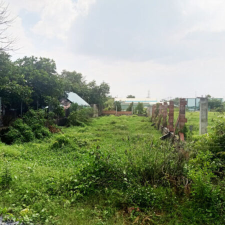 Bán đất 1/ đường 148 – 500m2 – 9.8×54 – 300m2 thổ cư – xã Bình Mỹ – Củ Chi