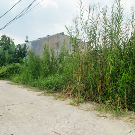 Bán đất 2/ đường Bình Mỹ – 148m2 – 5×30 – 145m2 thổ cư – xã Bình Mỹ – Củ Chi