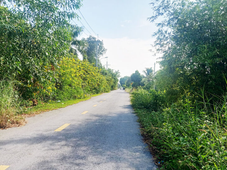 Bán đất đường Trung An – 1047m2 – 12×82 – 300m2 thổ cư – xã Trung An – Củ Chi