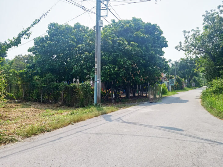 Bán đất đường 488 – 338m2 – 6×55 – 99m2 thổ cư – xã Phú Hòa Đông – Củ Chi