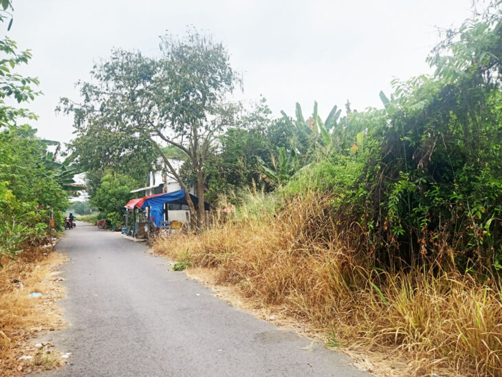 Đất 1/ đường Bến Súc – 71m2 – 5×14 – 63m2 thổ cư – xã An Phú – Củ Chi