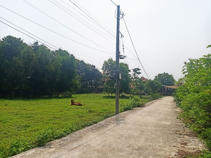 Đất 1/ đường Nguyễn Thị Nê – 120m2 – 4×28 – 104m2 thổ cư – xã Phú Hòa Đông – Củ Chi