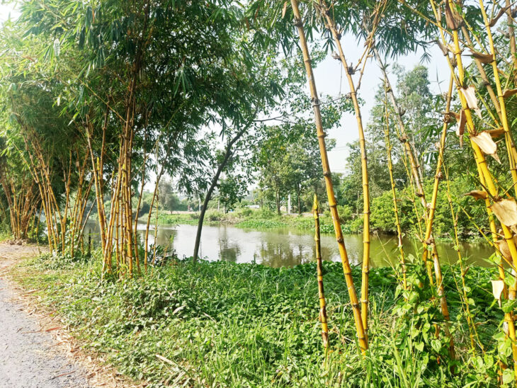 Bán đất 1/ đường Bình Mỹ – 1552m2 – 6.7×81 nở hậu 21m – 100m2 thổ cư – xã Bình Mỹ – Củ Chi