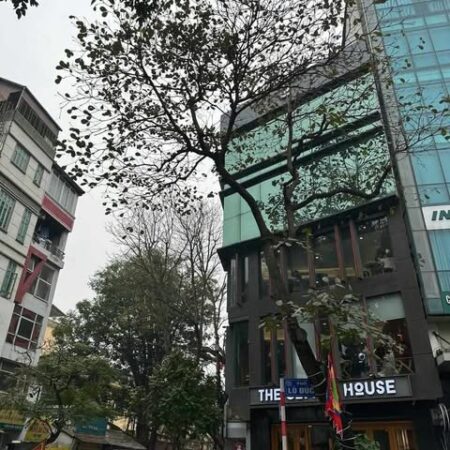 SIÊU PHẨM TÒA NHÀ MẶT PHỐ THỌ LÃO – HAI BÀ TRƯNG, THANG MÁY: 60M, 7T, MT: 6M SIÊU PHẨM TÒA NHÀ MẶT PHỐ THỌ LÃO – HAI BÀ TRƯNG, THANG MÁY: 60M, 7T, MT: 6M