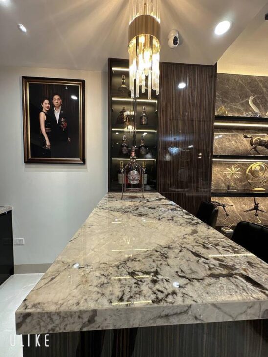 BÁN BIỆT THỰ VIỆT HƯNG – LONG BIÊN – GARA 2 Ô TÔ – THANG MÁY – NỘI THẤT TIỀN TỶ