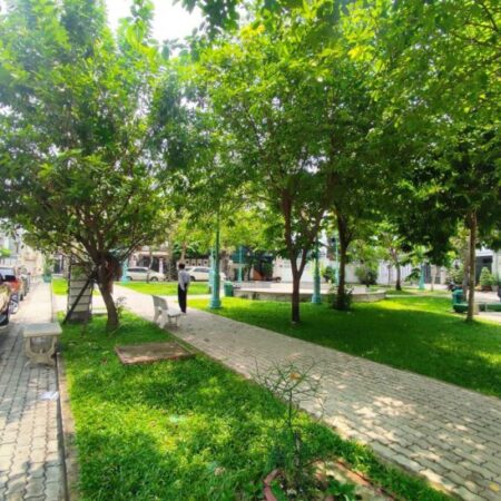 Căn hộ dịch vụ Khu Dân Cư Tân Quy Đông có Hầm, Thang Máy, 5 tầng, 60m2, thu nhập 650triệu/Năm,