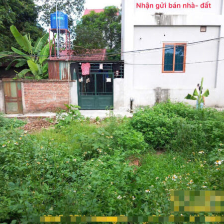 Bán đất Mai Đình, Sóc Sơn, HN. Gần sân bay và khu công nghiệp Nội Bài. Siêu nhỏ, siêu hiếm.