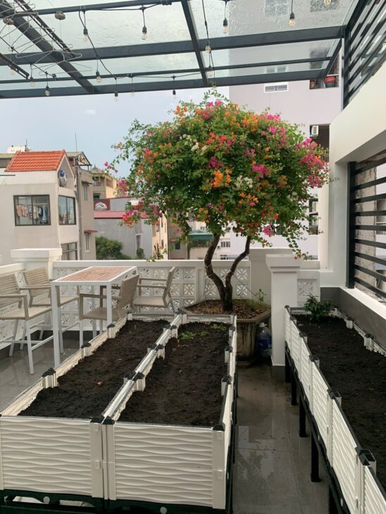 BIỆT THỰ LK BÙI XƯƠNG TRẠCH ???? 75M2 x 4T ???? MT 4.5M ???? ĐƯỜNG Ô TÔ TRÁNH ???? KD TỐT