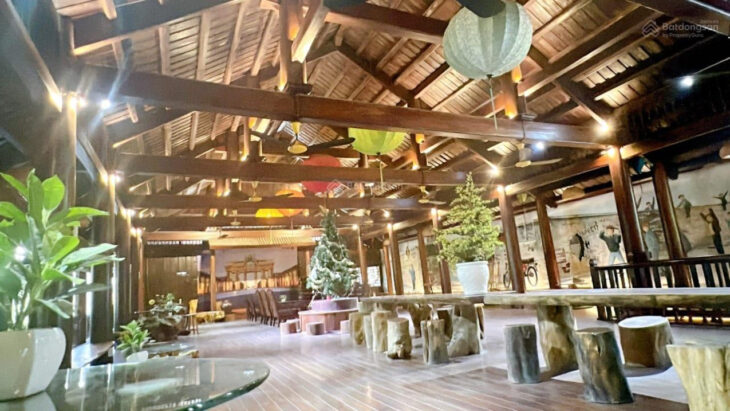 Bán nhà mặt phố Hoàng Cầu 100m2 mặt tiền 6,6m giá cực tốt cơ hội đầu tư hiếm có