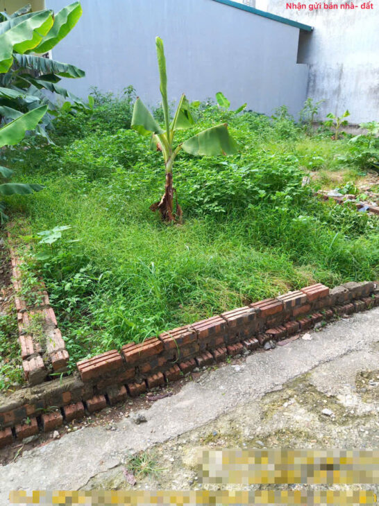 Bán đất Mai Đình, Sóc Sơn, HN. Gần sân bay và khu công nghiệp Nội Bài. Siêu nhỏ, siêu hiếm.