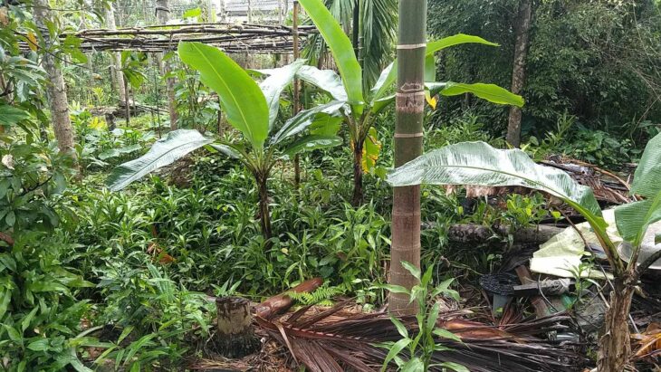 ???? ???? ĐẤT ĐẸP – GIÁ RẺ – SỔ ĐỎ CHÍNH CHỦ ???? – Mặt tiền đường Lý Thánh Tông, Thị trấn Phú Lộc, Huế