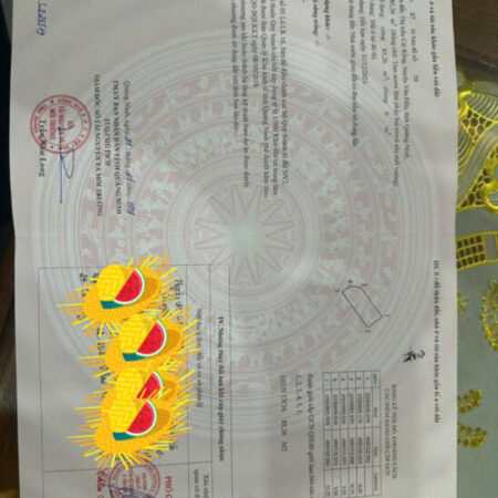 Cơ hội vàng sở hữu đất nền KĐT Vương Long Vân Đồn – Giá tốt, vị trí đẹp, pháp lý rõ ràng Cơ hội vàng sở hữu đất nền KĐT Vương Long Vân Đồn – Giá tốt, vị trí đẹp, pháp lý rõ ràng