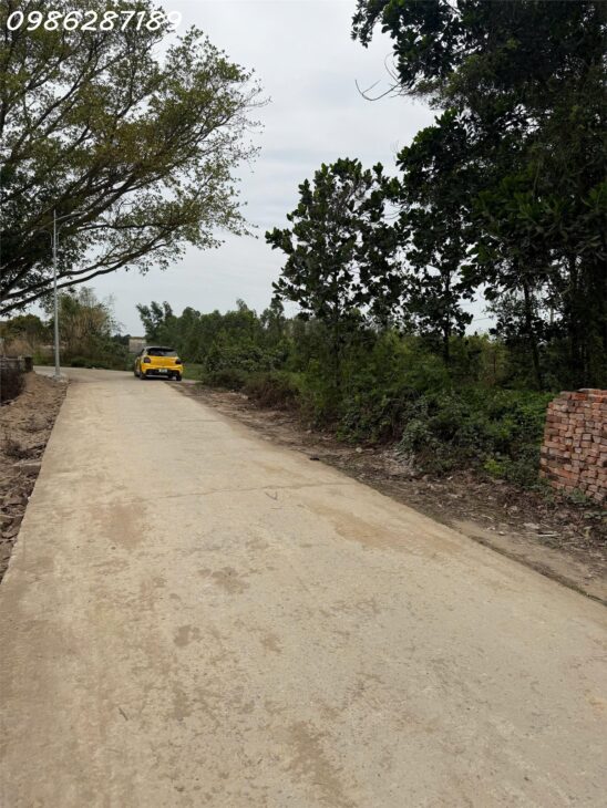 Chính chủ cần bán lô đất thôn Định Mỗ, Xuân Lai, Gia Bình, Bắc Ninh