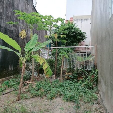 Bán đất 70m2 HXT 6m, Phú Hữu, Thủ Đức – 3.5 tỷ