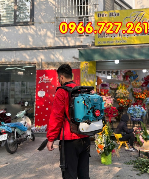 Máy thổi lá chạy xăng 4 thì Kawasaki TK85