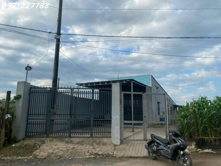 Bán 1000 m² xã Bình Minh gần ngay QL1A đường nhựa lớn dân cư đông đúc giá chỉ hơn 2 tỷ