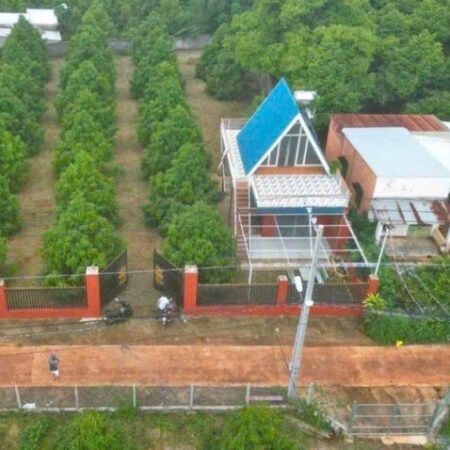 C SANG MỸ ĐỊNH CƯ KHÔNG AI CHĂM VƯỜN NÊN CẦN NHƯỢNG LẠI CÓ NHÀ CẤP 4 DỌN VÀO Ở NGAY ĐƯỢC VÀ 300 CÂY