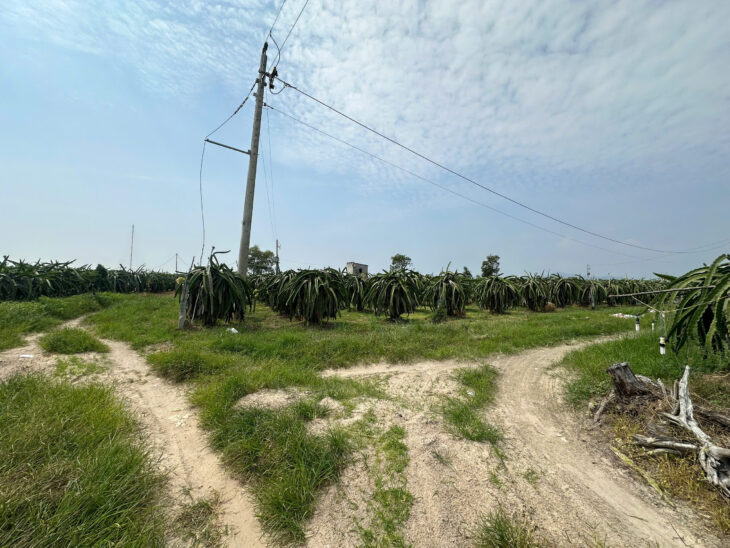 Bán 1000m2 đất ONT Tân Tiên – TX LaGi gần Biển Tam Tân gái rẻ 1.2 tỷ