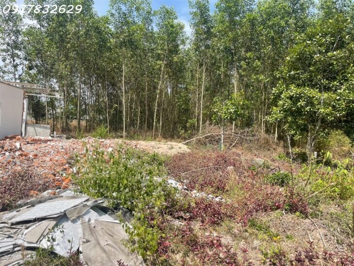 Đất Khu Phố 8, Tân An, Lagi: 91m², Thổ Cư 40m², Ô Tô Tận Nơi, Giá 595 Triệu