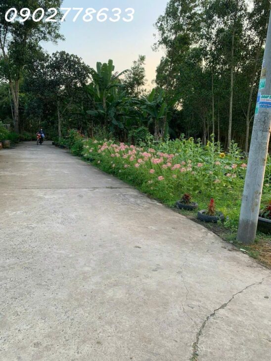 2800m2 QH đất ở toàn bộ, 1800m2 đất thổ cư! 2 MẶT TIỀN AN PHƯỚC, LONG THÀNH 14.5 TỶ