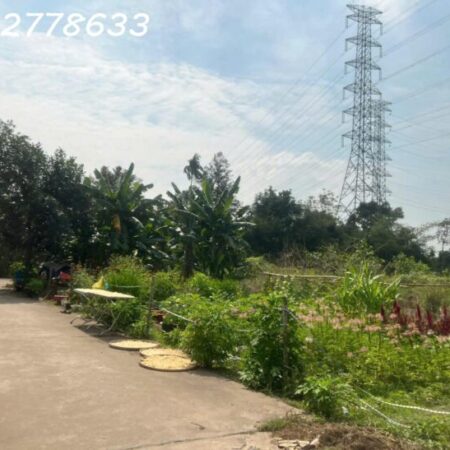 2800m2 QH đất ở toàn bộ, 1800m2 đất thổ cư! 2 MẶT TIỀN AN PHƯỚC, LONG THÀNH 14.5 TỶ 2800m2 QH đất ở toàn bộ, 1800m2 đất thổ cư! 2 MẶT TIỀN AN PHƯỚC, LONG THÀNH 14.5 TỶ