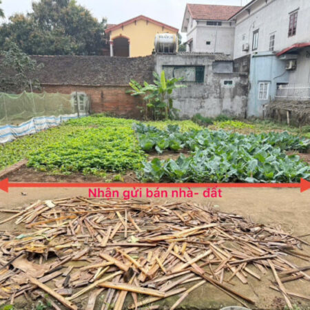 Bán đất thổ cư tiềm năng tại Thôn 1, Thạch Đà, Mê Linh, Hà Nội – Vị trí vàng, giá đầu tư hấp dẫn! Bán đất thổ cư tiềm năng tại Thôn 1, Thạch Đà, Mê Linh, Hà Nội – Vị trí vàng, giá đầu tư hấp dẫn!