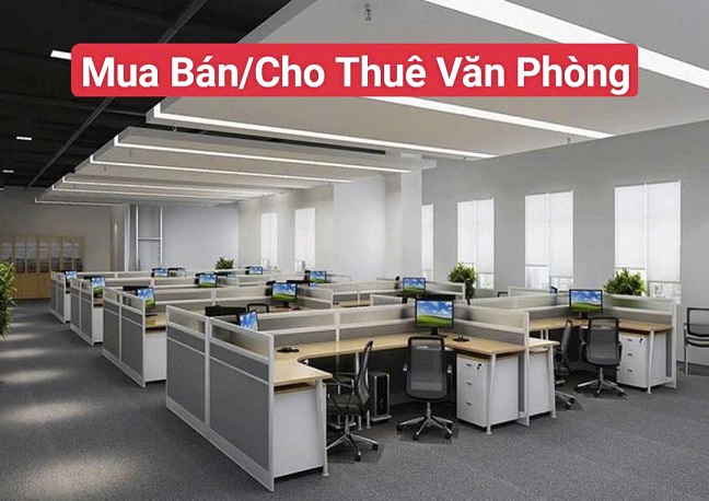 Công Ty Chúng Tôi Chuyên Cung Cấp Các Dịch Vụ Thương Mại (Mua Bán/Cho Thuê Căn Hộ/Lưu Trú/Văn