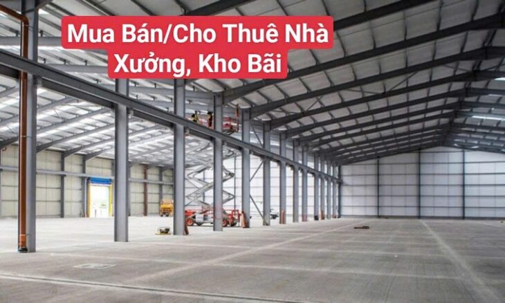 Công Ty Chúng Tôi Chuyên Cung Cấp Các Dịch Vụ Thương Mại (Mua Bán/Cho Thuê Căn Hộ/Lưu Trú/Văn