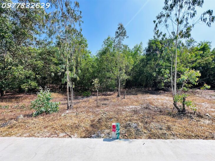 Bán đất 10m x 20m thổ cư Tân Phước – TX LaGi giá rẻ nhất 1.2 tỷ