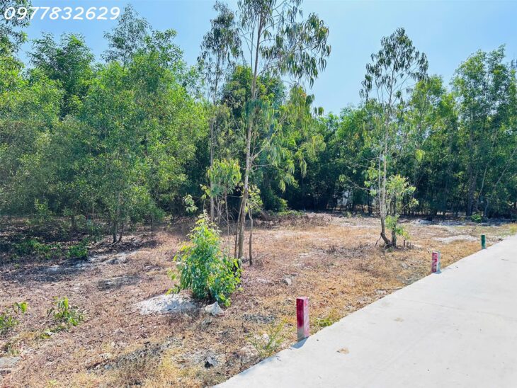 Bán đất 10m x 20m thổ cư Tân Phước – TX LaGi giá rẻ nhất 1.2 tỷ