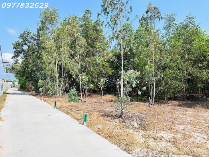 Bán đất 10m x 20m thổ cư Tân Phước – TX LaGi giá rẻ nhất 1.2 tỷ