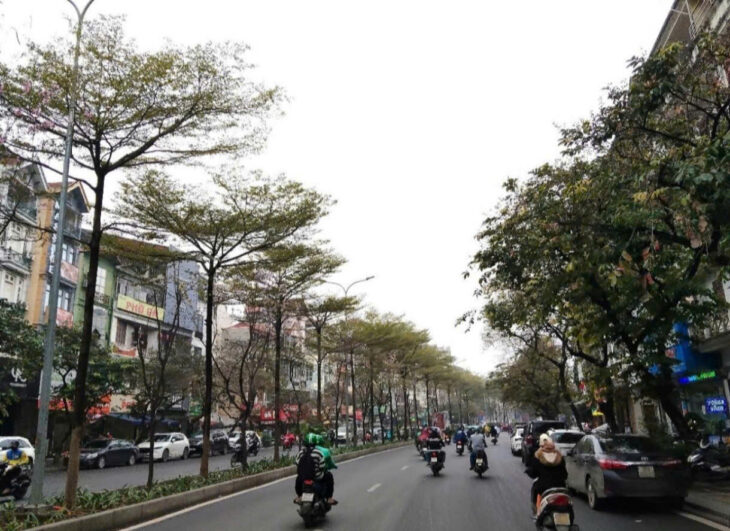 SIÊU HOT! BÁN NHÀ NGÕ ĐÀO TẤN 54M 7 TẦNG DT 50 TRIỆU THÁNG GIÁ 21 TỶ 0336212066