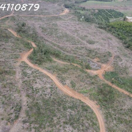 290HA ĐẤT NÔNG LÂM, ĐĂK LĂK, 32 TỶ 290HA ĐẤT NÔNG LÂM, ĐĂK LĂK, 32 TỶ