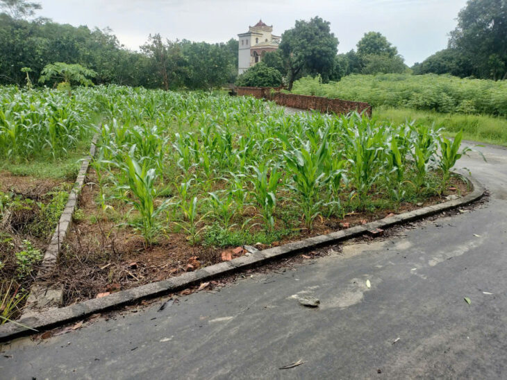 BÁN ĐẤT Ở THỔ CƯ 102M2 – VỊ TRÍ VÀNG THẠCH THẤT – GIÁ CHỈ 3.1 TỶ – SỔ ĐỎ CHÍNH CHỦ