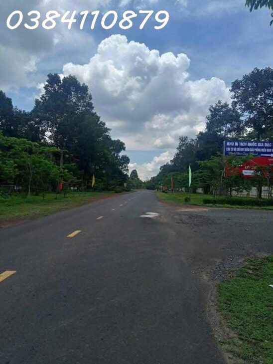GẦN 3HA ĐIỀU BÙ ĐĂNG, BÌNH PHƯỚC GIÁ 800TR
