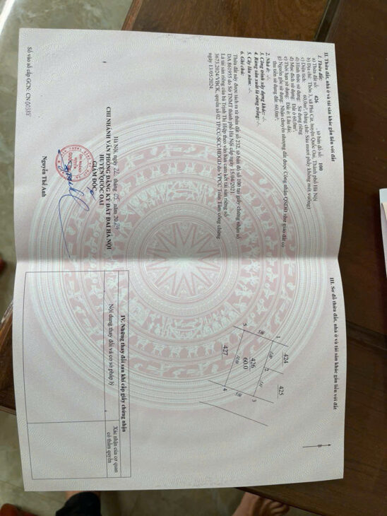 Đất Hoà Lạc, trục chính kinh doanh