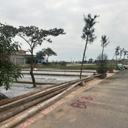 Đất nền Quất Lâm Nam Định Đất nền Quất Lâm Nam Định