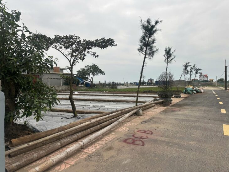 Chính chủ bán đất nền ven biển Quất Lâm