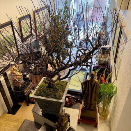 bán nhà Đống Đa 53m Trung Liệt,, mặt phố ô tô tránh đỗ, kinh doanh sầm uất